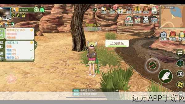 小森生活木灵峡谷深度探索,资源分布位置与获取策略全揭秘