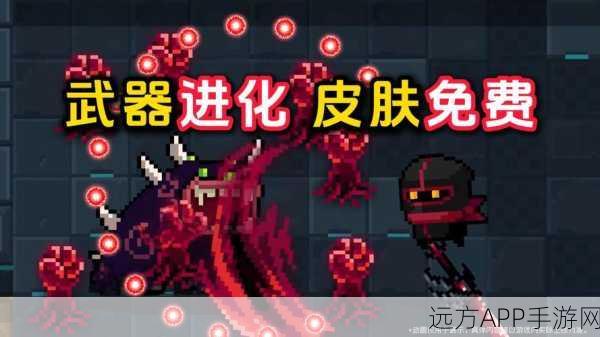 元气骑士大厅焕新颜,详细教程与炫酷背景皮肤揭秘