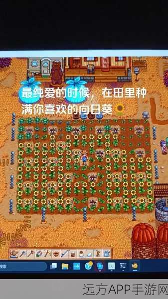 星露谷物语,揭秘与海莉邂逅的浪漫地点与攻略