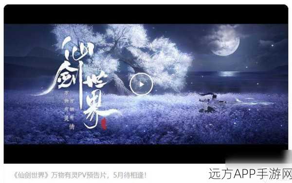 仙剑世界职业门派深度剖析,顶尖玩家揭秘最佳选择