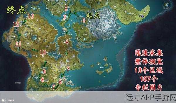 原神莲蓬采集位置详解及获取方法攻略