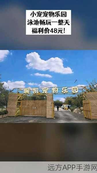 萌宠养成新体验，小小宠物乐园手机版下载开启