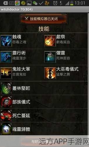 暗黑破坏神3巫医技能大揭秘，深度解析与实战应用