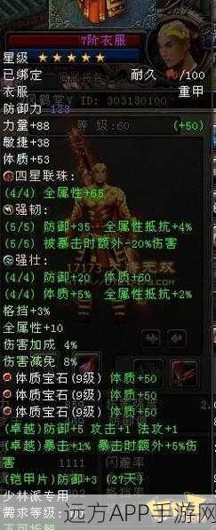大唐无双手游,武将道具全解析,助你战场称雄