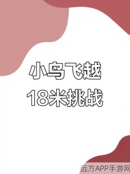 翱翔天际，挑战极限！太阳鸟游戏带你领略飞行盛宴