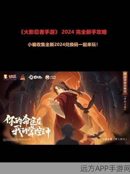 火影忍者手游兑换码失效之谜,揭秘背后原因与解决方案