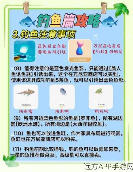心动小镇雨天垂钓指南,解锁稀有鱼类秘籍
