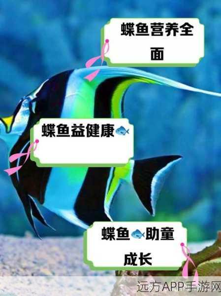 妄想山海,揭秘蓝纹蝶鱼的神秘用途与珍稀价值
