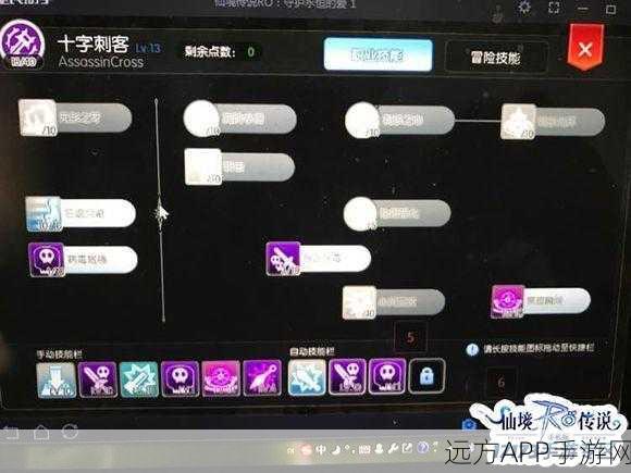 仙境传说RO手游,刺客双刀秘籍大公开,解锁极致战斗体验