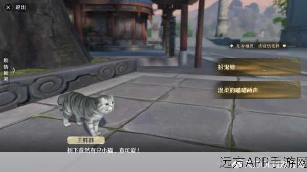天涯明月刀手游,撸猫奇遇深度攻略,解锁稀有萌宠及专属福利