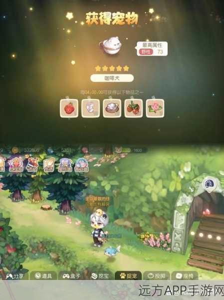 奥比岛精灵蛋孵化全攻略,解锁神秘宠物伙伴