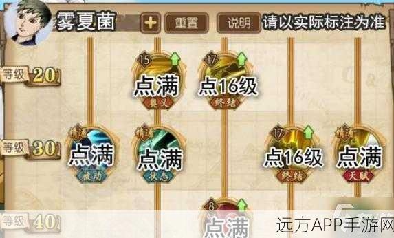 航海王热血航线，雷利PVP霸主地位巩固，实战技巧与深度玩法揭秘