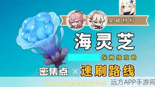 原神速通攻略，高效采集海灵芝，助力八重神子突破！