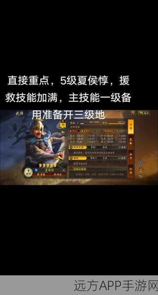 三国志战略版深度攻略，夏侯惇与吕布开荒实战技巧大揭秘