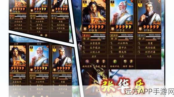 三国志战略版华佗貂蝉配将攻略,最佳组合策略与实战运用