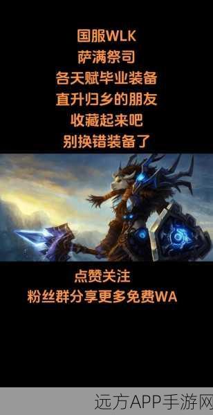 手游新视角,探索魔兽世界萨满祭司的神秘力量与竞技风采