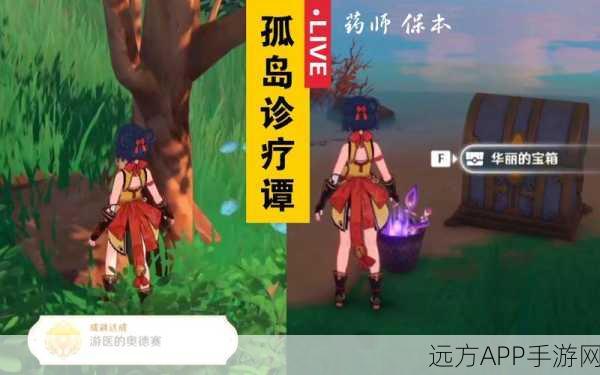 揭秘原神药师笔记本，隐藏位置、丰富内容与深度解析
