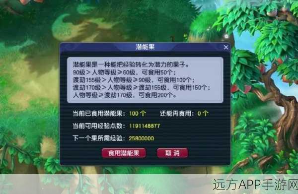 梦幻西游深度解析，潜能果使用上限全揭秘