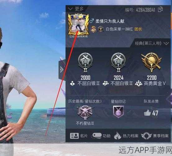 和平精英游戏名片全攻略，解锁你的专属荣耀名片！