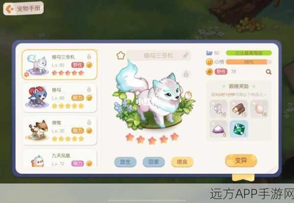 奥比岛珍稀祖母绿获取攻略，解锁宝藏的钥匙！