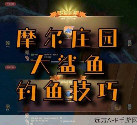 摩尔庄园致富新招,揭秘卖鱼秘籍,挑战高价收益王座