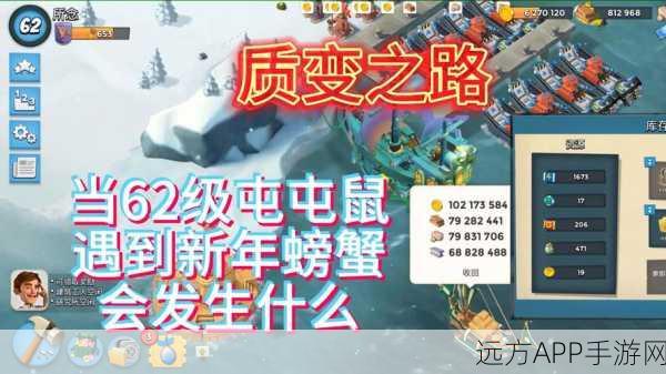 海岛奇兵攻略,揭秘三级布利特升级所需金币及升级策略