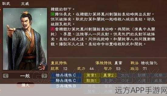 揭秘三国志13隐藏瑰宝，那些鲜为人知的武将风采