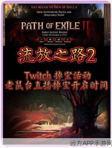 流放之路，揭秘掉落数量堆满的秘密与高效刷宝策略