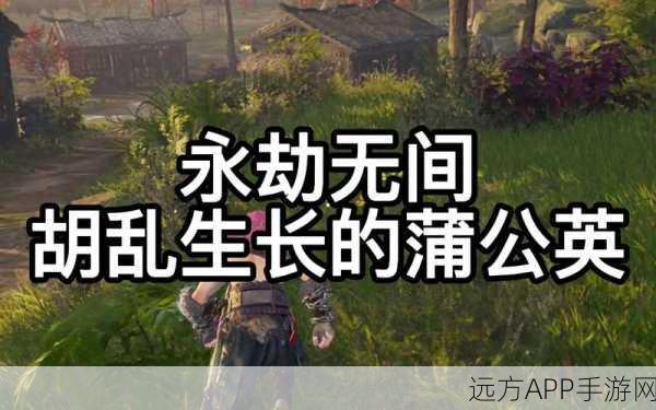 蒲公英之秘，永劫无间中的战略奇兵与潜行神器深度解析