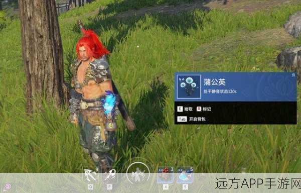蒲公英之秘,永劫无间中的战略奇兵与潜行神器深度解析