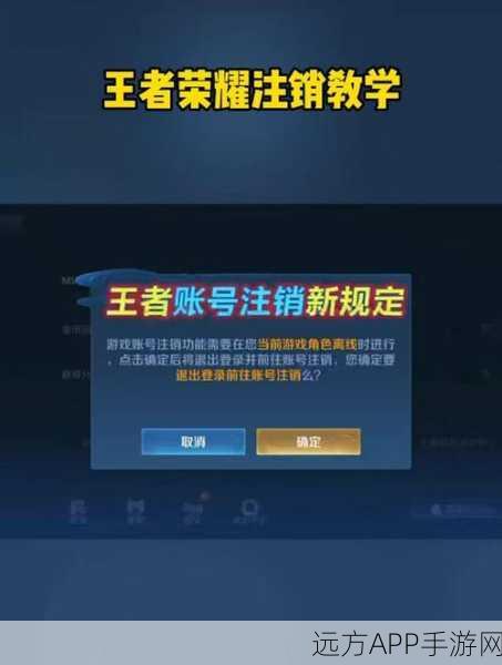 王者荣耀账号注销全解析,条件苛刻,后果需谨慎考量!