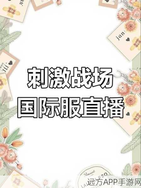 揭秘国外B站,刺激战场直播平台的多元化生态与顶尖赛事