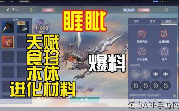 妄想山海，金启攻顶级装备获取秘籍大公开