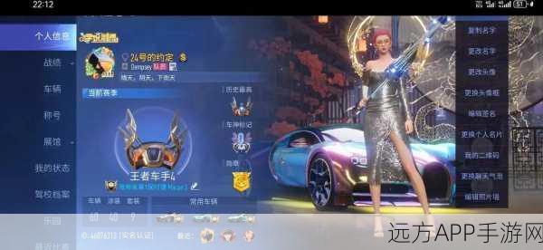 王牌竞速高手秘籍，揭秘双闪绝技，赛道称霸不是梦！