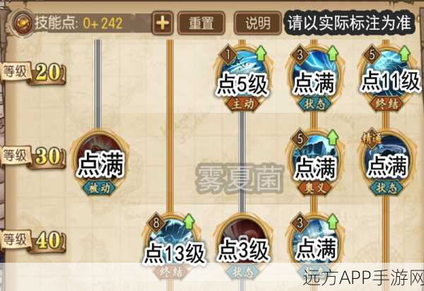 航海王燃烧意志,深度剖析巴基加点策略,打造高效战斗技能组合