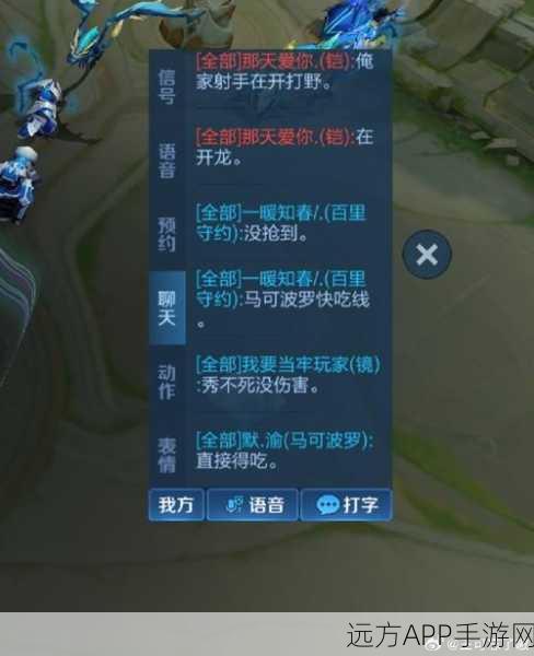 王者荣耀对局聊天字体太浅?教你轻松解决,提升游戏交流体验!
