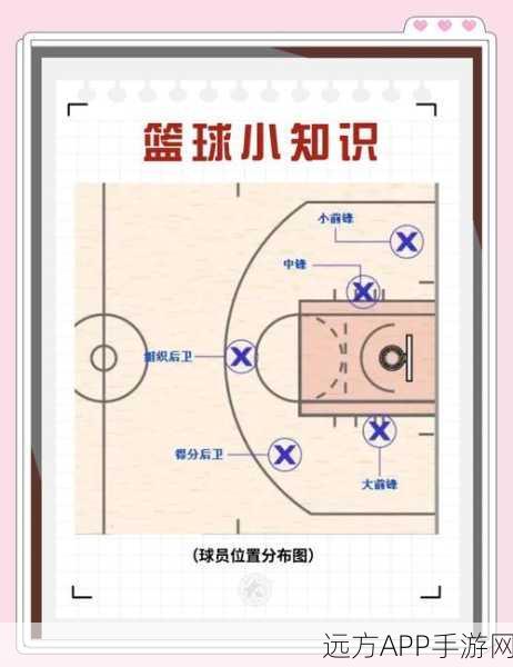 街篮高手必看,揭秘位置选择的制胜秘诀