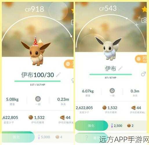 宝可梦大探险，全面解锁伊布进化秘籍，打造你的专属萌宠战队！