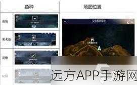 黑色沙漠手游钓鱼指南，揭秘最佳钓鱼点与分布攻略