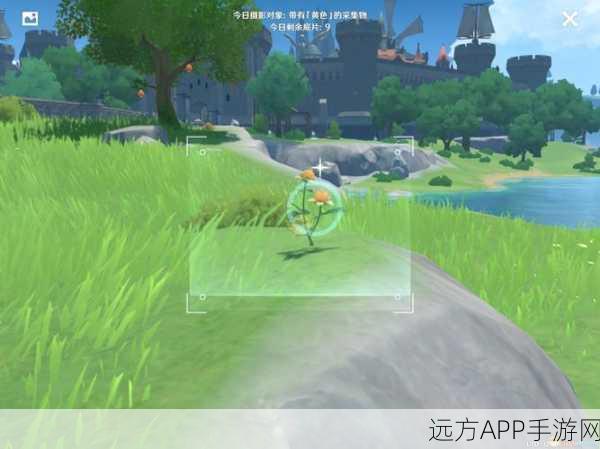 原神黄色采集物摄影指南,珍稀种类与绝美拍摄地揭秘