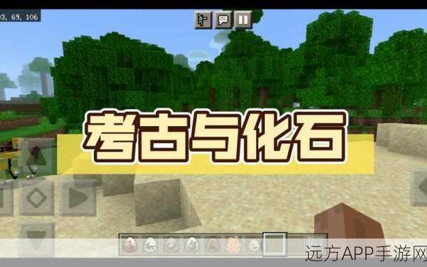 我的世界考古与化石模组英文名揭秘，探索史前奥秘，赢取独家奖励！