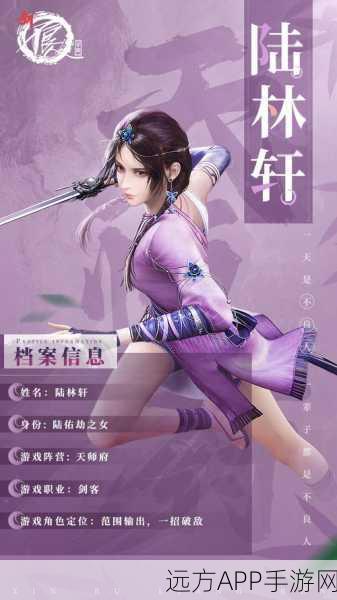 紫色荣耀，揭秘不良人手游紫色装备高效获取秘籍