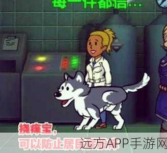 揭秘辐射避难所神秘人现身规律与搜寻技巧