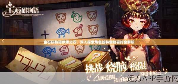 宝石研物语深度攻略,解锁杰克好感度,美食攻略大揭秘