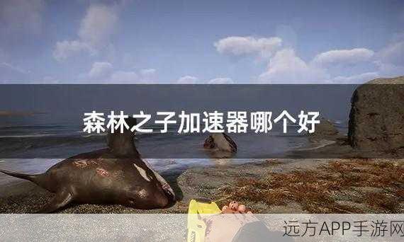 森林之子游戏畅玩指南,加速器是否为必备神器?