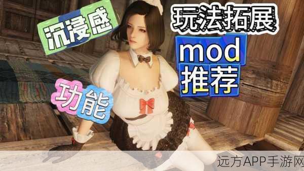 上古卷轴5，天际传奇版MOD安装全攻略