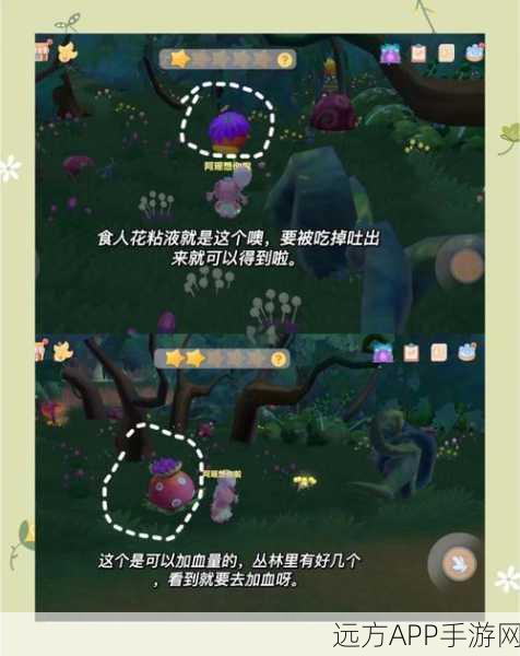 摩尔庄园手游探索指南,揭秘神秘湖码头宝藏位置与趣味玩法