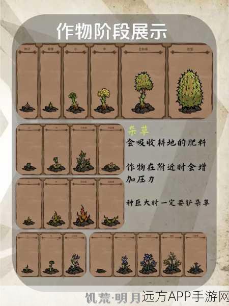 饥荒手游深度攻略，解锁蘑菇种植机的高效使用技巧