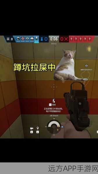 绝地求生,刺激战场战绩隐藏秘籍,打造你的隐私保护盾