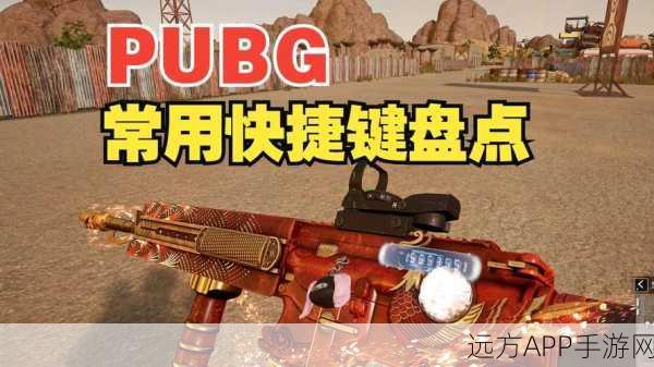 绝地求生快捷键秘籍，掌握物品操作，战场制胜关键！